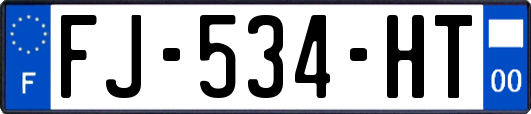 FJ-534-HT