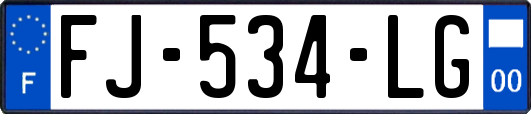 FJ-534-LG