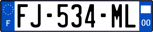 FJ-534-ML
