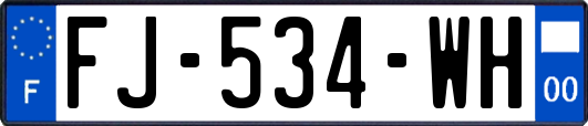 FJ-534-WH