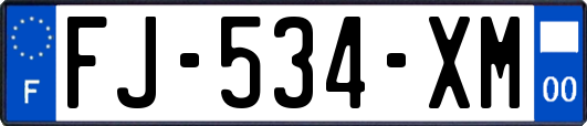 FJ-534-XM