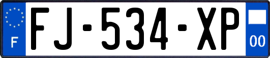 FJ-534-XP