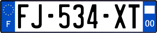 FJ-534-XT