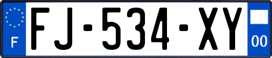 FJ-534-XY
