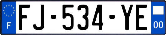 FJ-534-YE