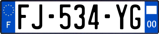 FJ-534-YG