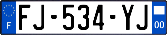 FJ-534-YJ