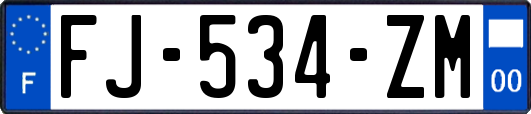 FJ-534-ZM