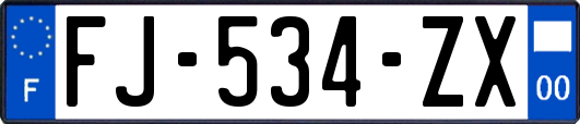 FJ-534-ZX