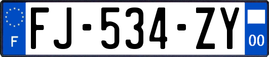 FJ-534-ZY