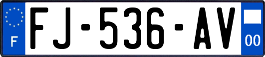 FJ-536-AV