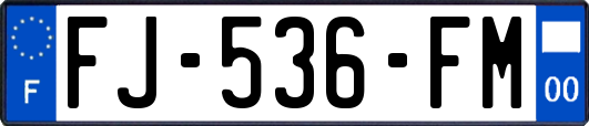 FJ-536-FM