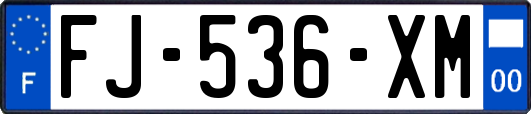 FJ-536-XM