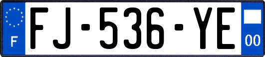 FJ-536-YE