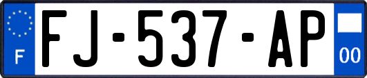 FJ-537-AP