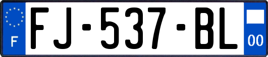 FJ-537-BL
