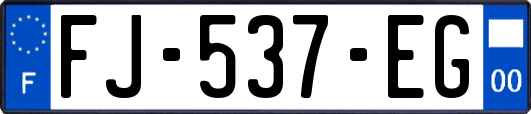 FJ-537-EG