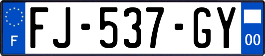 FJ-537-GY