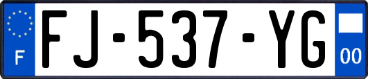 FJ-537-YG