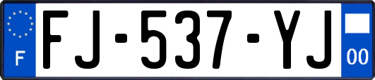 FJ-537-YJ