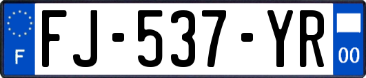 FJ-537-YR
