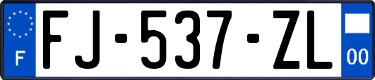 FJ-537-ZL