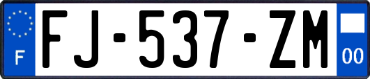 FJ-537-ZM