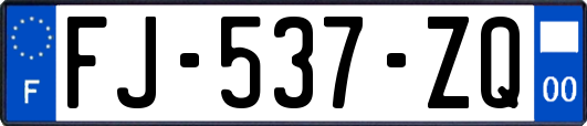 FJ-537-ZQ