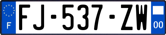 FJ-537-ZW