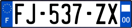 FJ-537-ZX