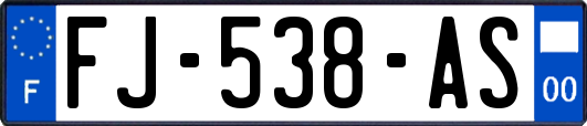 FJ-538-AS