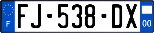 FJ-538-DX