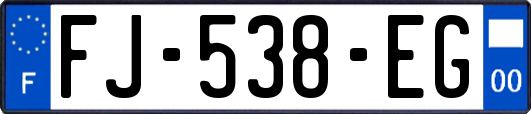 FJ-538-EG