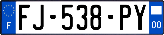 FJ-538-PY