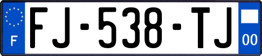 FJ-538-TJ