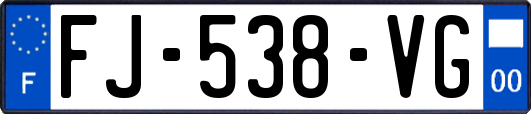 FJ-538-VG