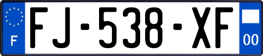 FJ-538-XF