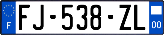 FJ-538-ZL