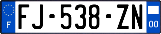 FJ-538-ZN