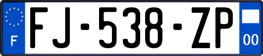 FJ-538-ZP