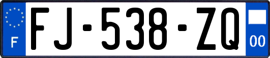 FJ-538-ZQ