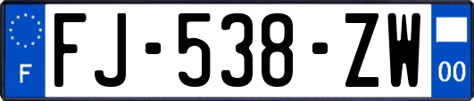 FJ-538-ZW