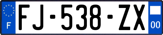 FJ-538-ZX