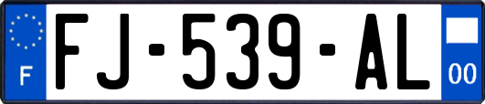 FJ-539-AL