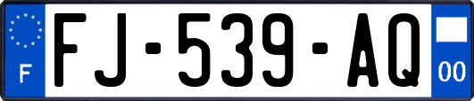 FJ-539-AQ