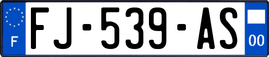 FJ-539-AS