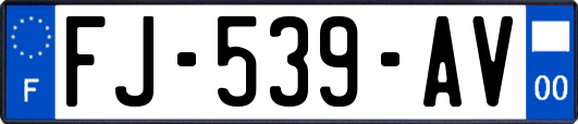 FJ-539-AV