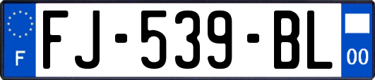 FJ-539-BL