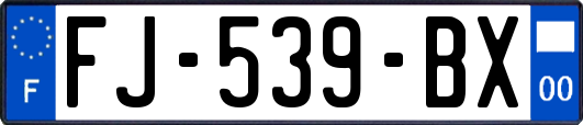 FJ-539-BX