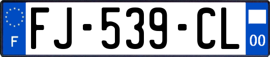 FJ-539-CL